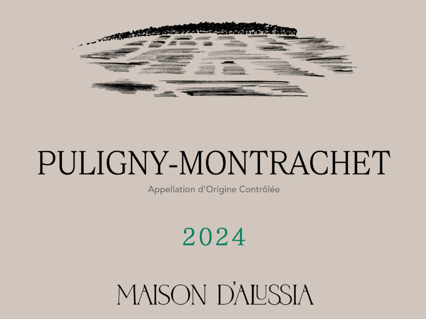 Puligny-Montrachet, 2024