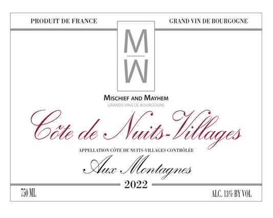 Côte de Nuits- Villages, Aux Montagnes, 2022